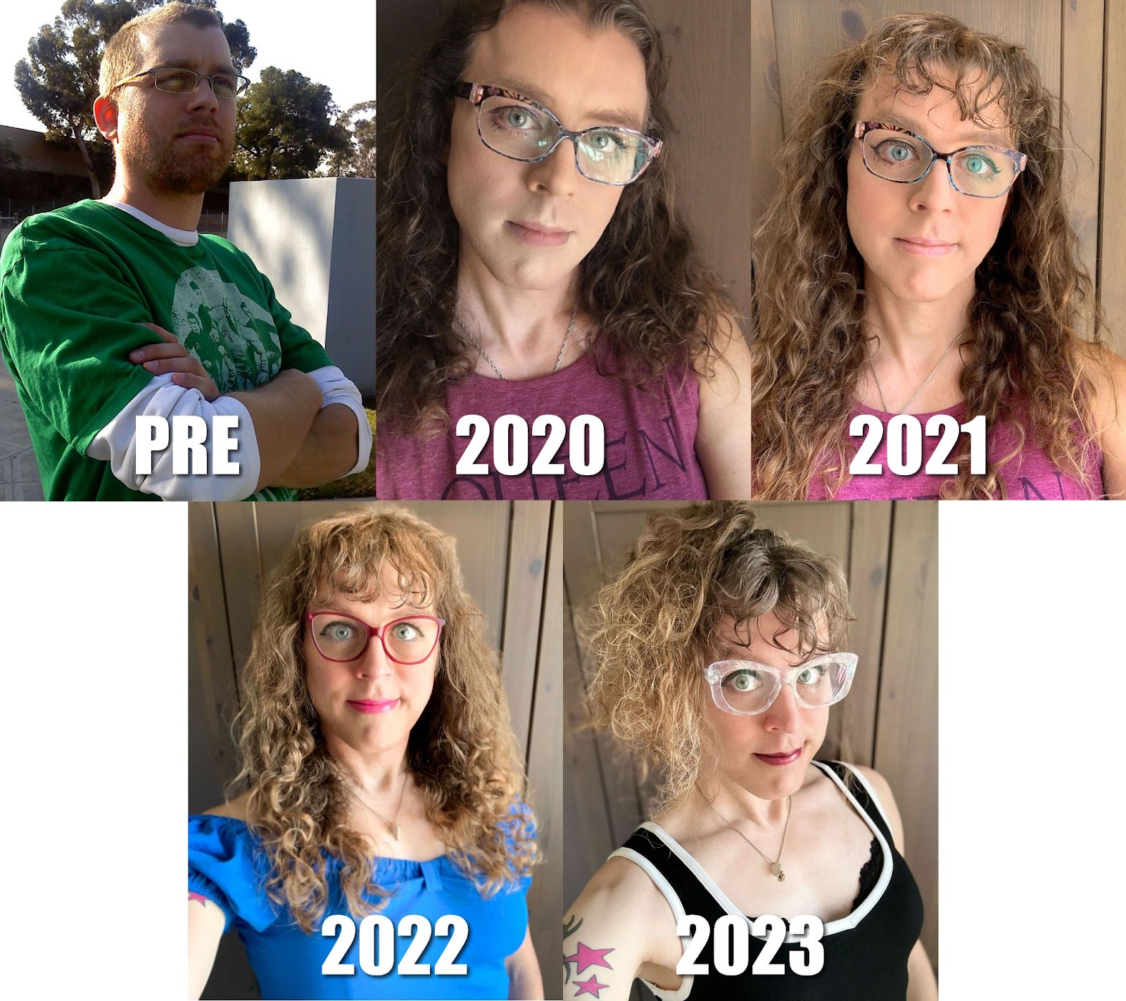 A timeline showing my transition progress from pre-transition, 2020 (when I came out and started HRT), 2021 (one year in), 2022 (two years in), 2023 (three years in). You can see my face changing drastically through them, becoming rounder and softer over time. Also the life in my eyes goes from dead, to huh, to yay, to hooray, to OH MY GOD.