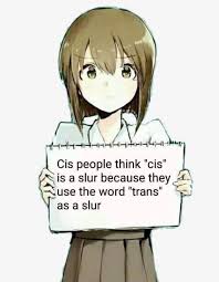 A meme that’s been going around of an anime-style character holding a sign that reads “cis people think “cis” is a slur because they use the word “trans” as a slur