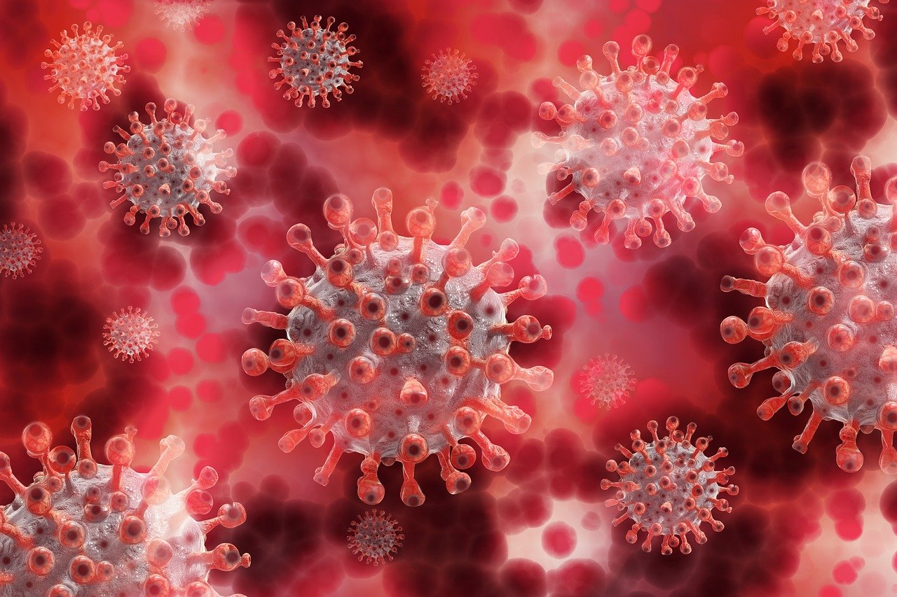 closeup image of viruses