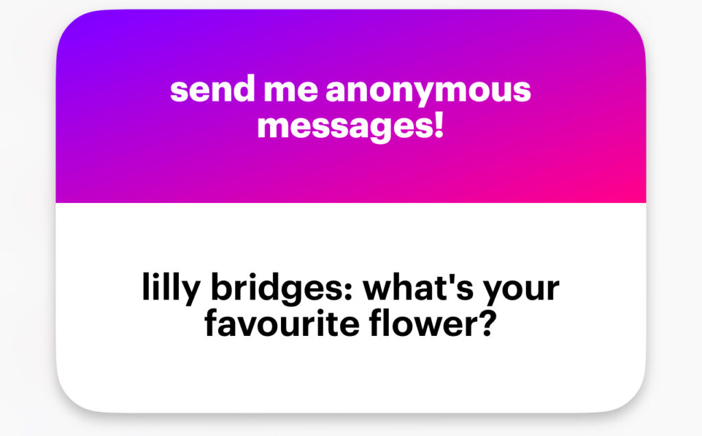 Lilly bridges: what’s your favourite flower?